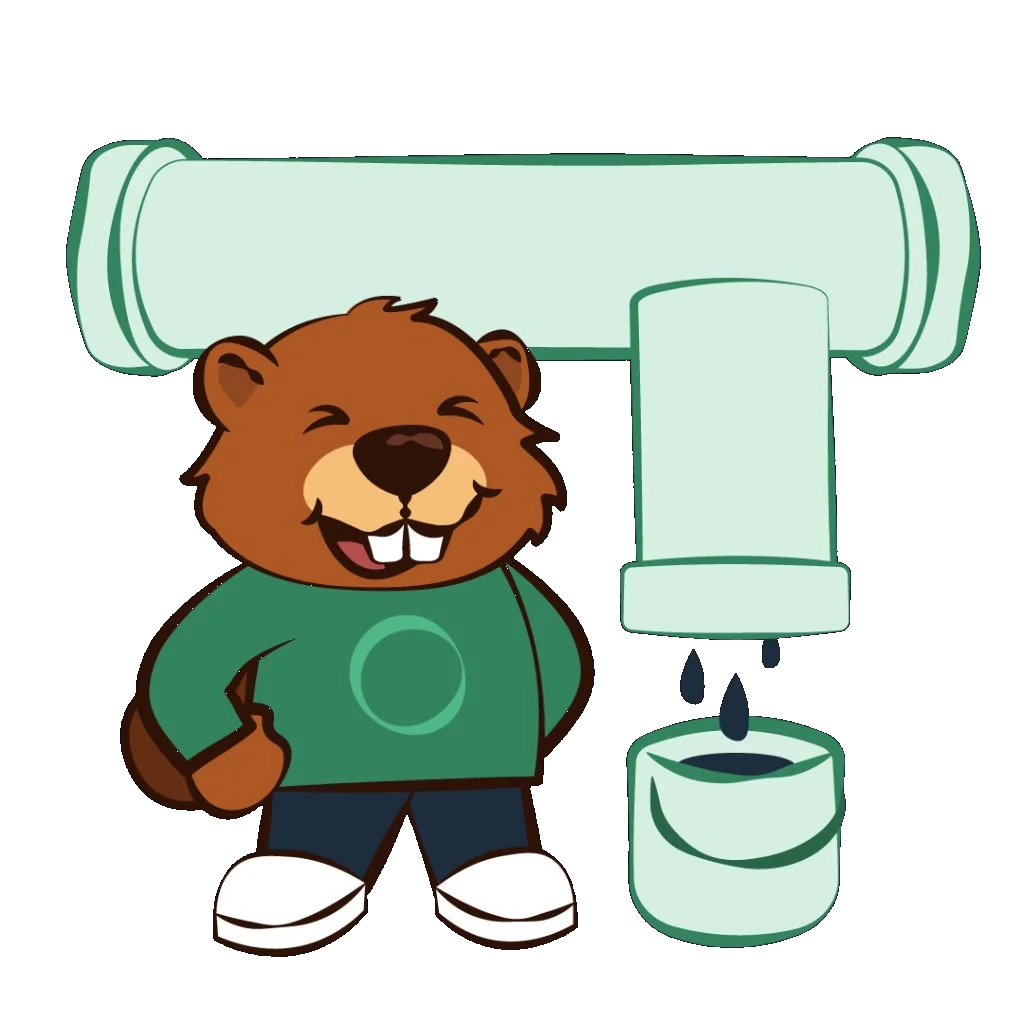 Castor mascot with water carrier representing low-code automation