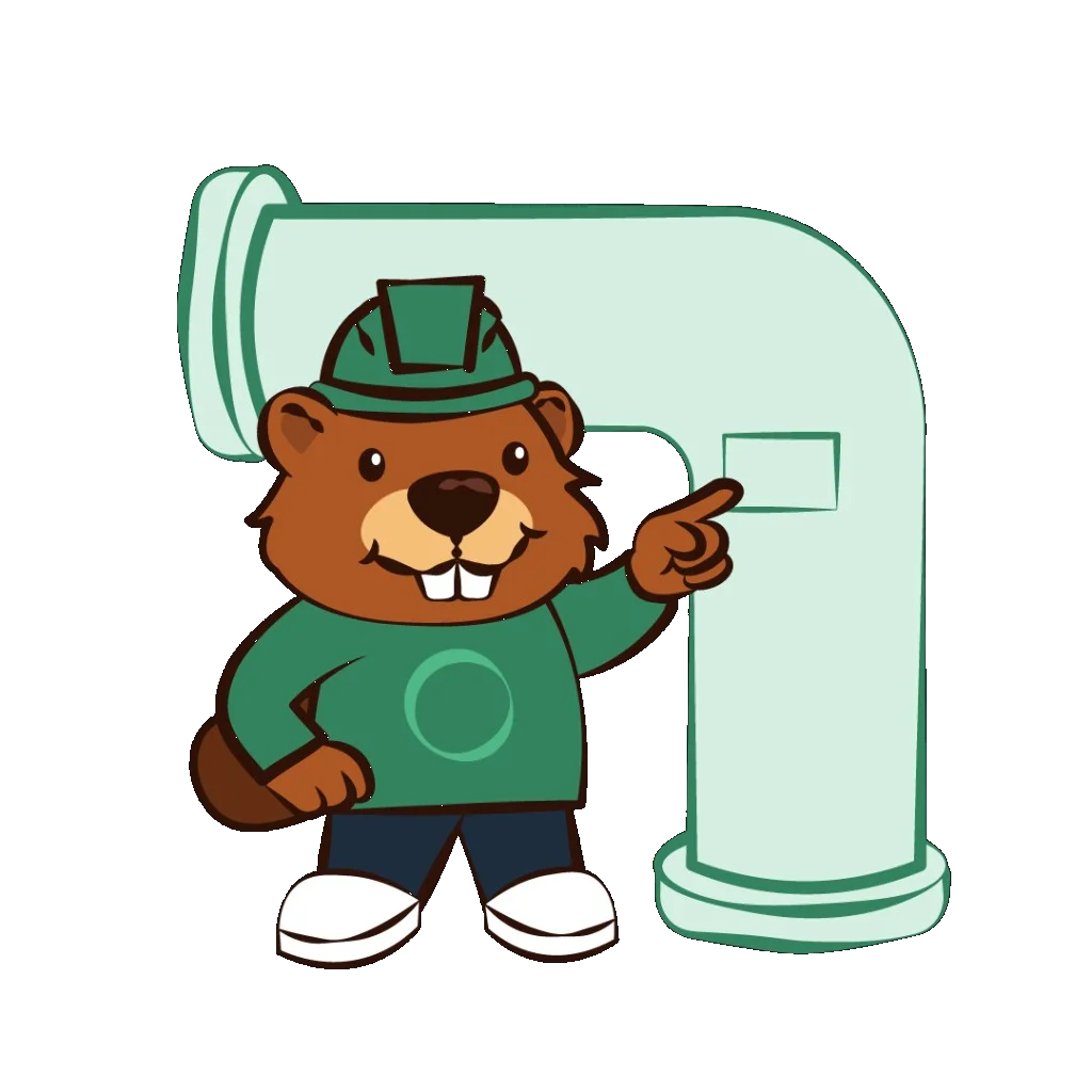 Castor mascot with pipes representing managed OutboundSync infrastructure