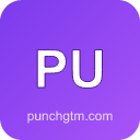 Punch GTM logo